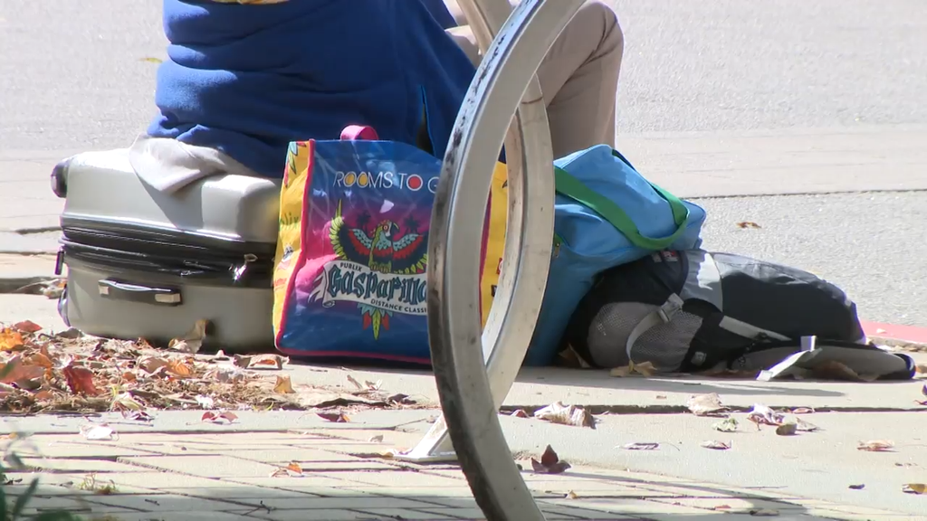 DeKalb County leaders vote to make unhoused encampments illegal — Cumming Government news