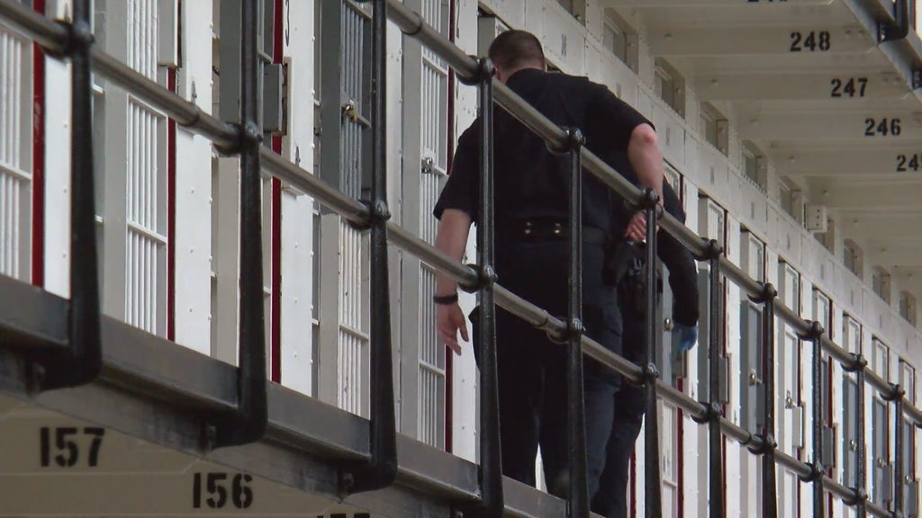 More than two dozen Georgia prisons on lockdown over security concerns following inmate fight — Cumming Health news